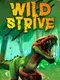 Wildstrive