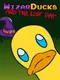 Wizarducks and the Lost Hat