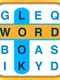 Word Search Puzzles
