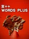 Words Plus