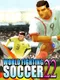 World Fighting Soccer 22
