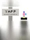 YAPP: Yet Another Puzzle Platformer