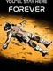 You'll Stay Here Forever