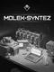 Molek-Syntez