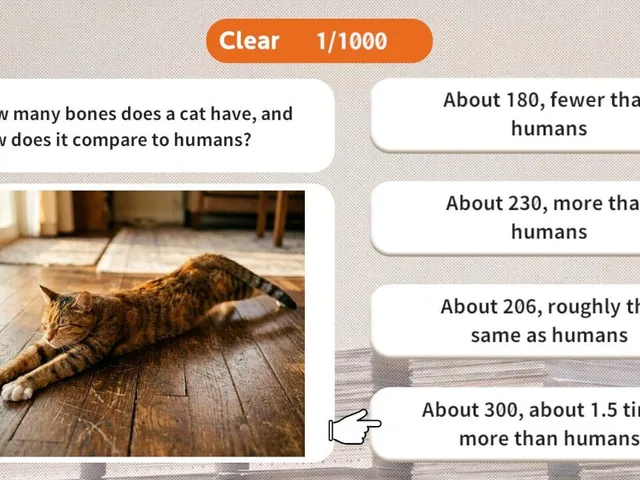 1000 Questions to Be Chosen by the Cat Lord