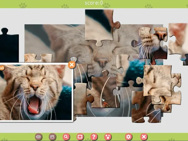 1001 Jigsaw: Cute Cats 3