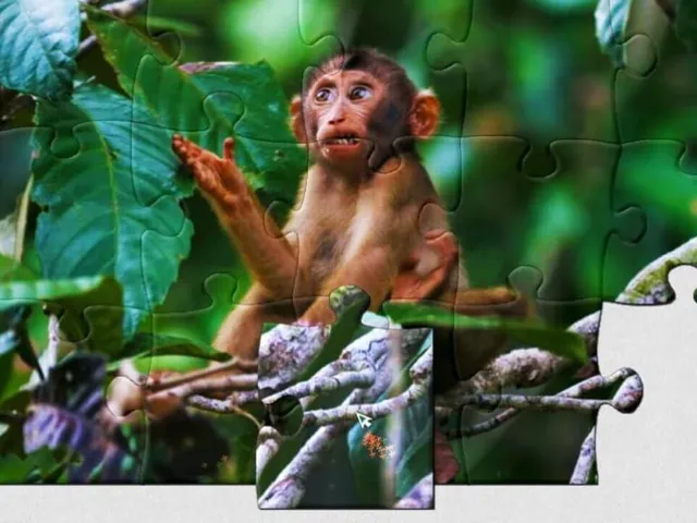 1001 Jigsaw: Wild Animals