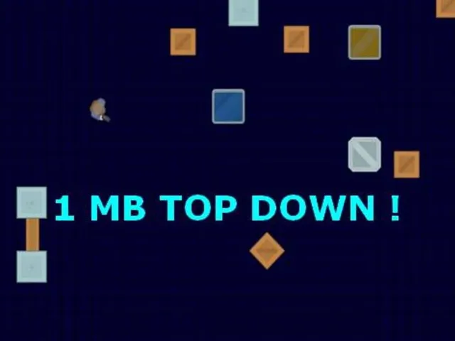 1Mb Top Down