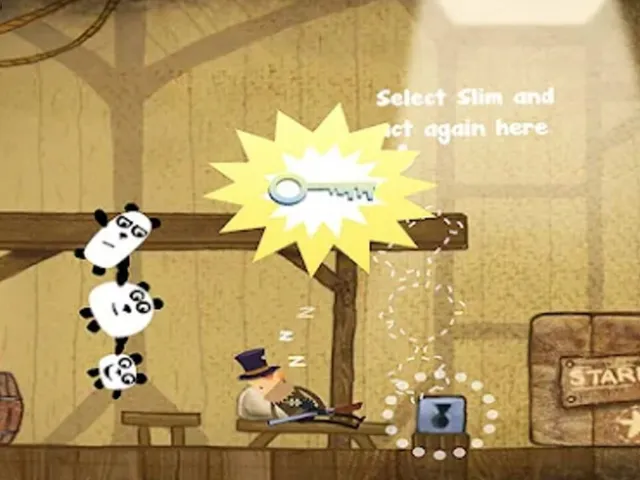 3 Pandas