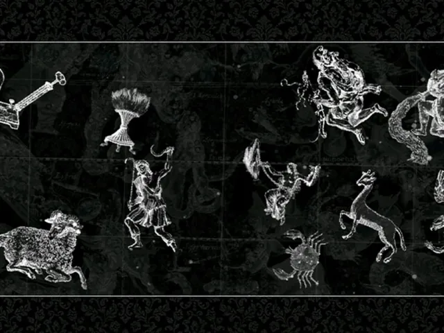 88 Constellations for Wittgenstein