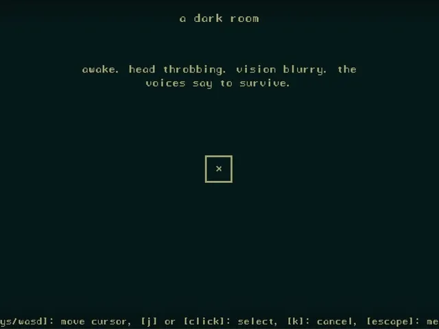 A Dark Room