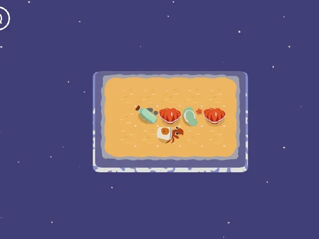 A Hermit Crab is Finding a House