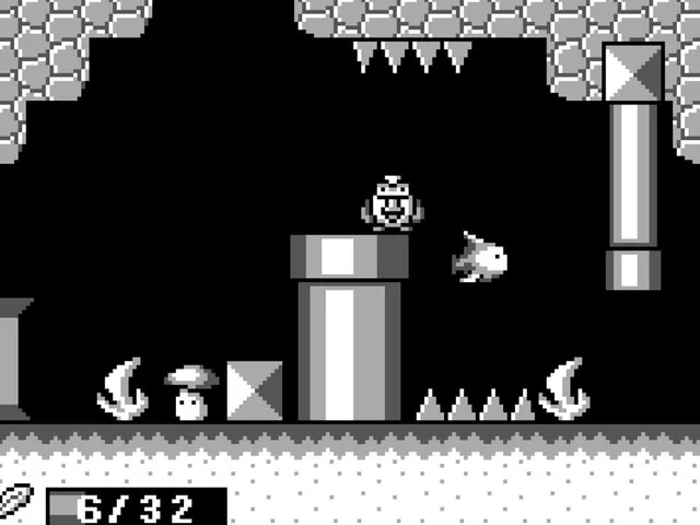 A Maze for Owls