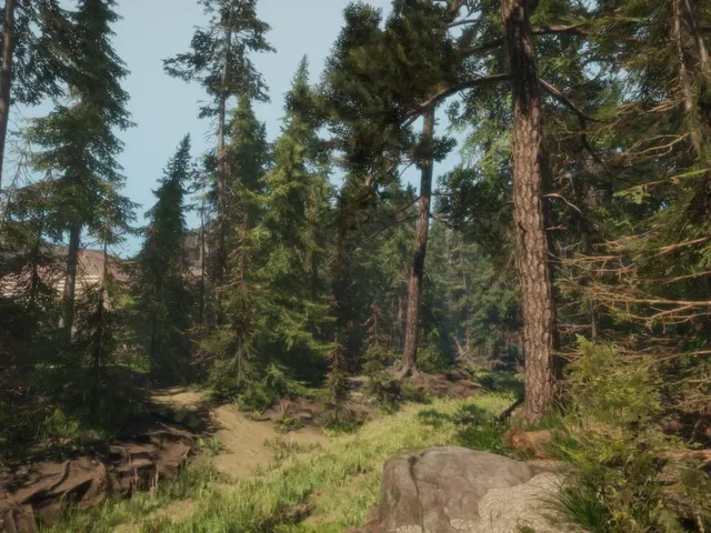A Walk in the Woods: VR