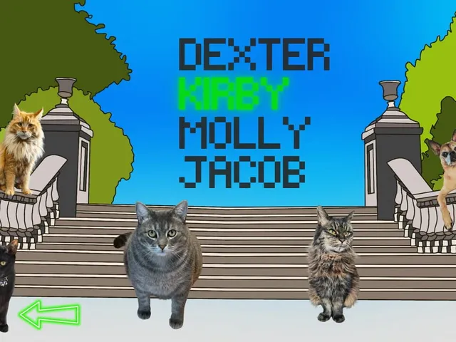 Adventures of Norman the Cat