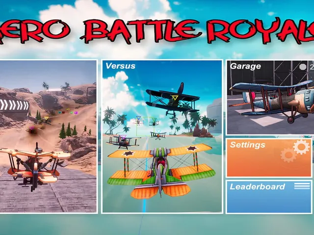 Aero Battle Royale