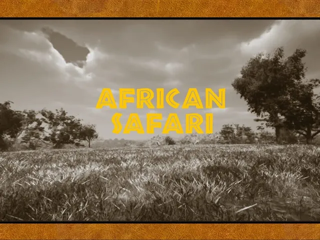 African Safari