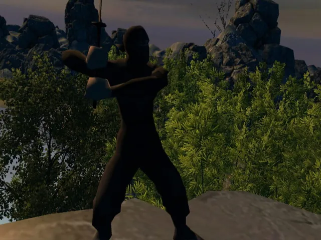 Aka Ninja VR