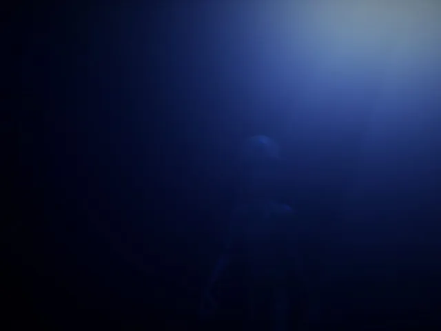 Alien Abduction Experience