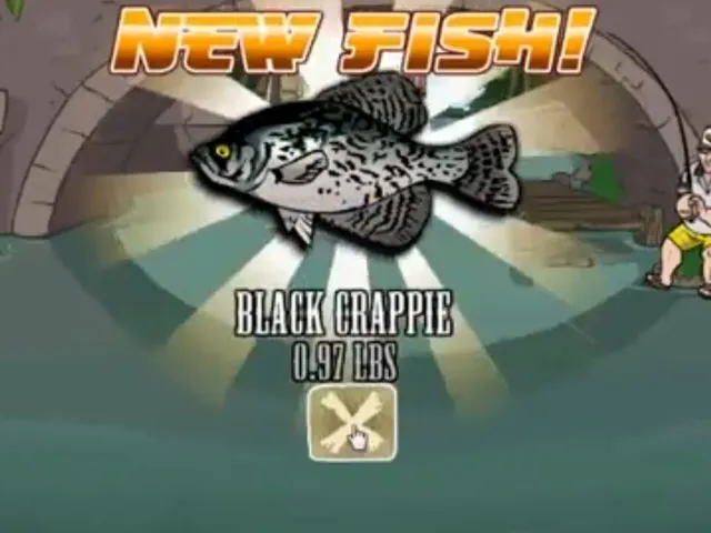 Amateur Action: Super Fishing