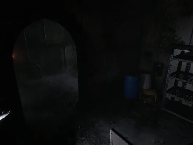 Amidst the Darkness