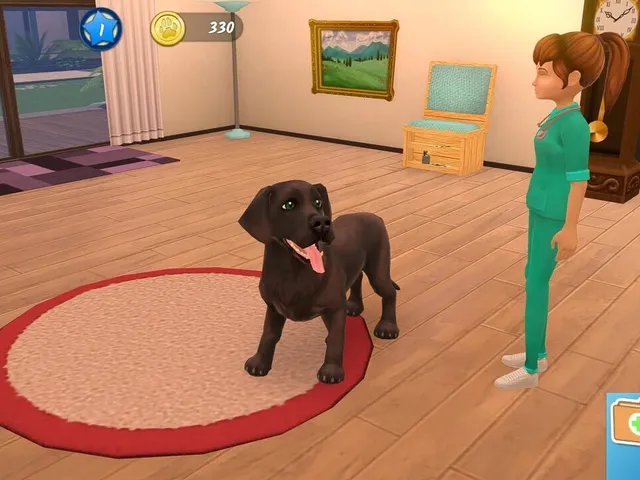 Animal Hospital