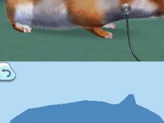 Animal Hospital