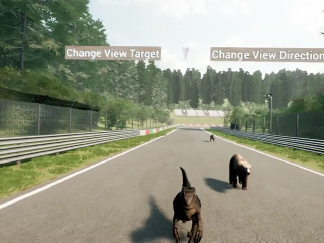 Animal Race Run VR