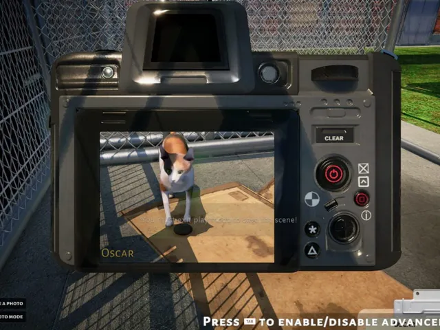 Animal Shelter Simulator