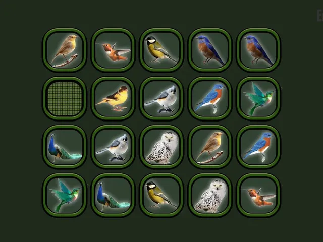 Animals Memory: Birds