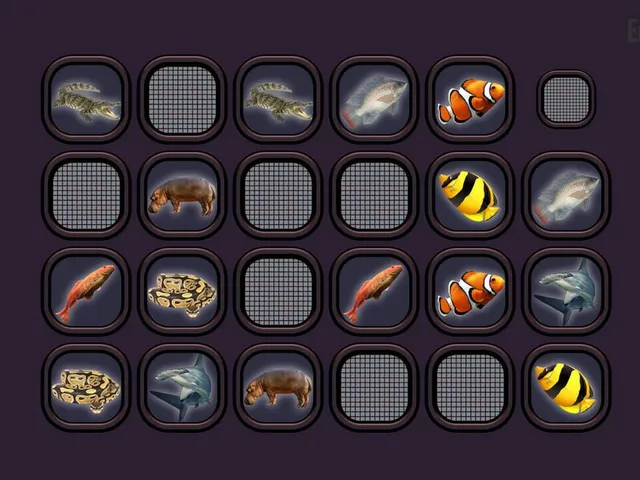 Animals Memory: Underwater Kingdom