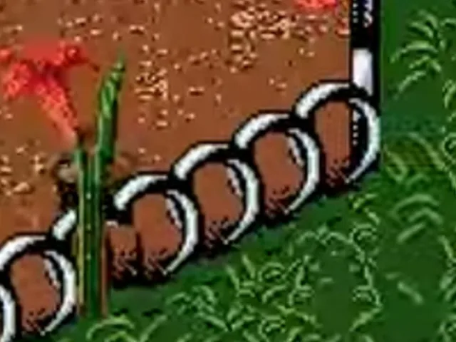 Antz Racing