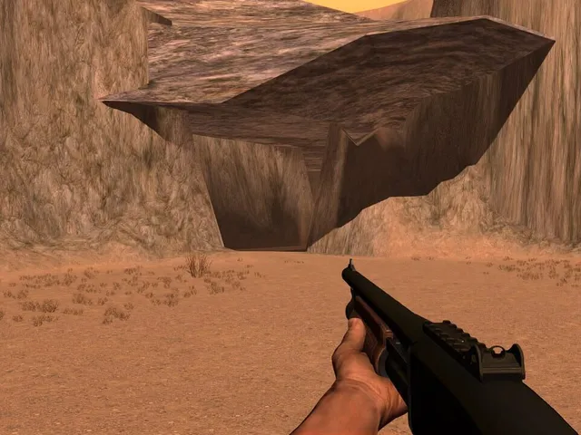 Apocalypse Survivor