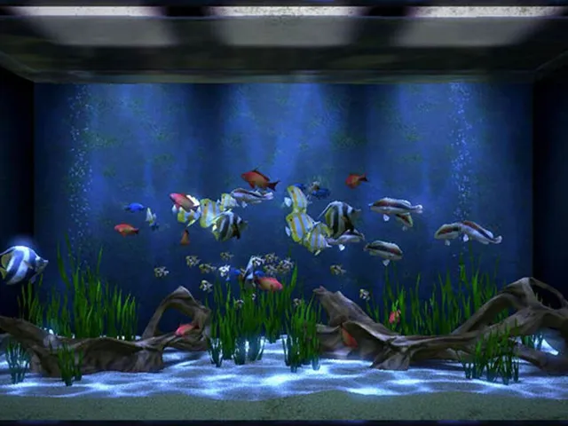 Aqua TV