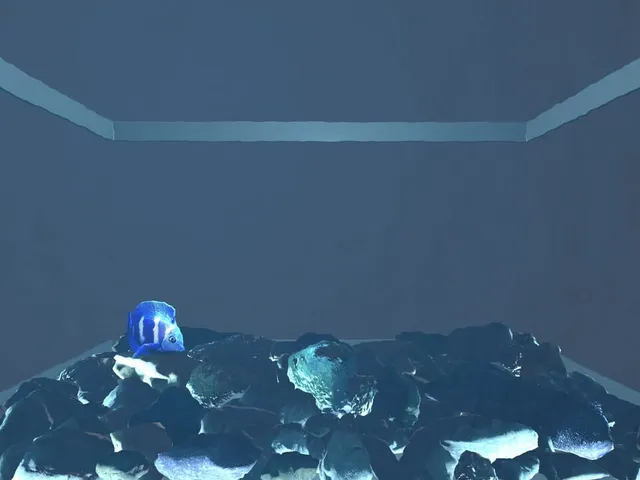 Aquario