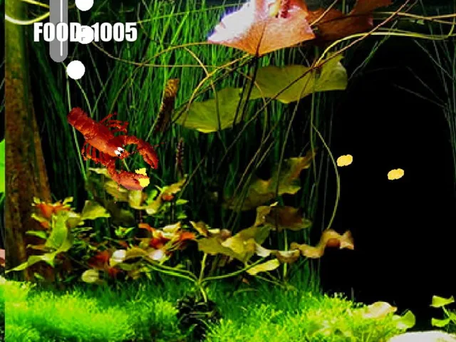 Aquarium Life