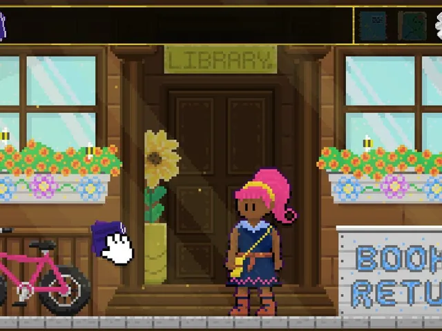 Aster Pebble and the Case of Bad Bureaucracy