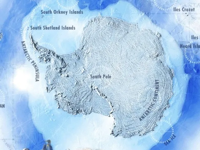 Attenborough's Antarctic: An Exploration of Life in the Freezer