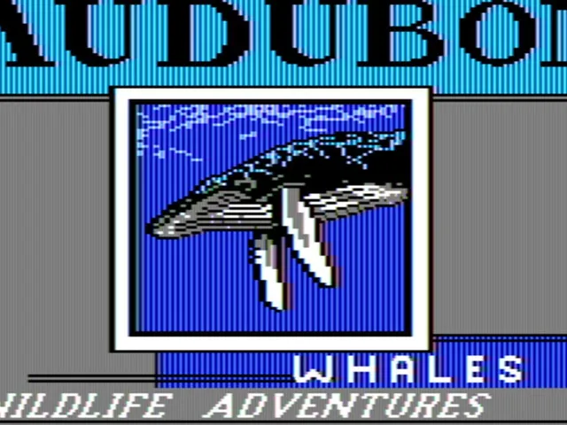 Audubon Whales: Wildlife Adventure