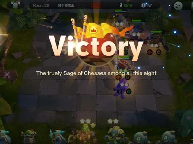 Auto Chess