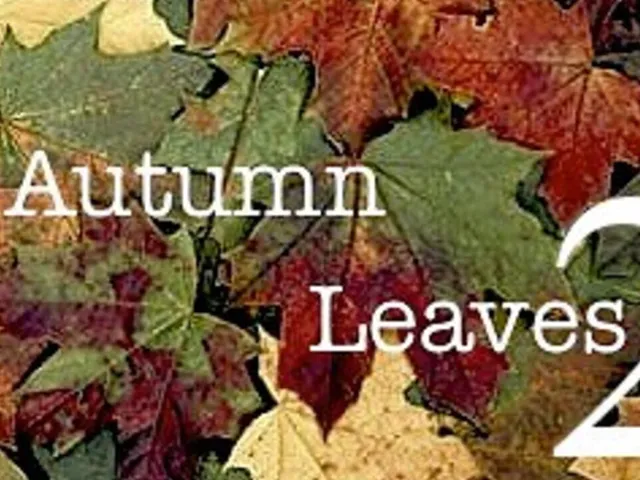 Autumn Leaves II
