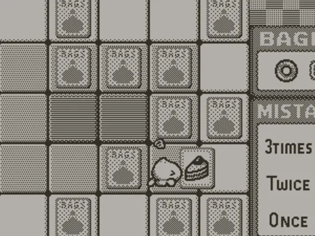 Bag Boy Memory