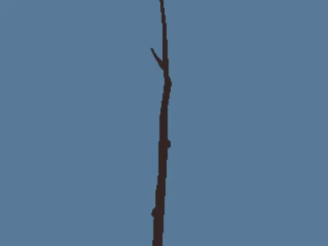 Balance The Stick