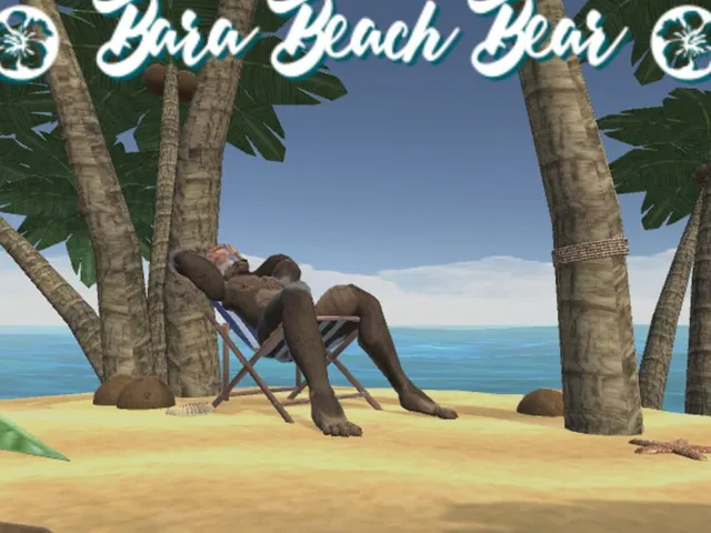 Bara Beach Bear