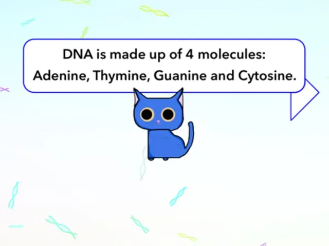 Barrel of DNA