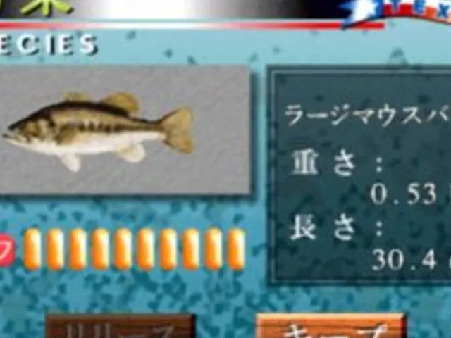 Bass Fisherman
