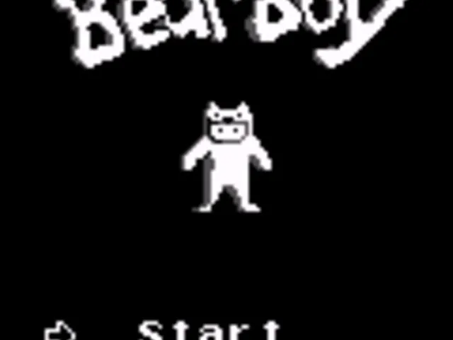 Bear Boy