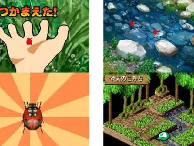 Beetle King