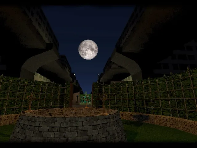 Before the Moon