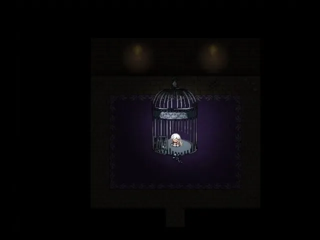 Before You Get Trapped in the Black Lilies.